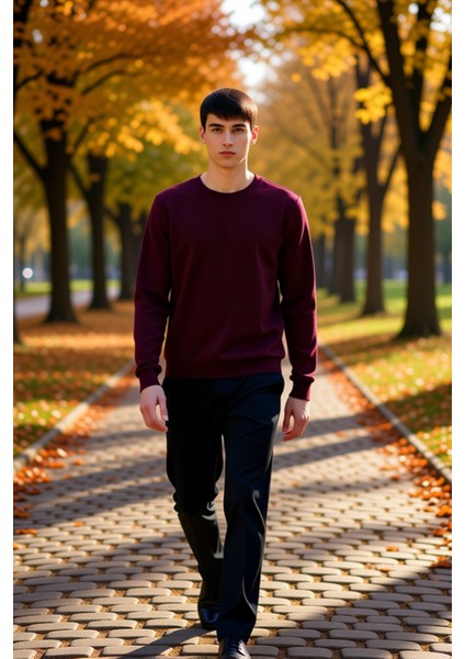 Erkek Bisiklet Yaka Standart Kol Regular Kalıp Sweatshirt Fonksiyonel Dayanıklı Kaliteli Şık