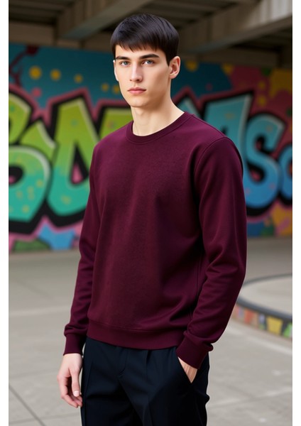 Erkek Bisiklet Yaka Standart Kol Regular Kalıp Sweatshirt Fonksiyonel Dayanıklı Kaliteli Şık fırsatları