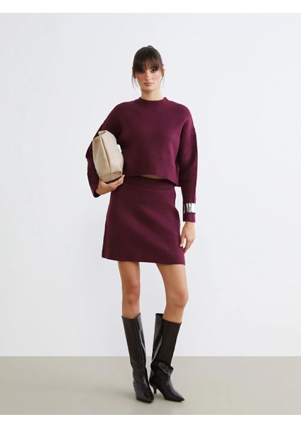 Lcw Vision Mürdüm Beli Lastikli Triko Mini Etek