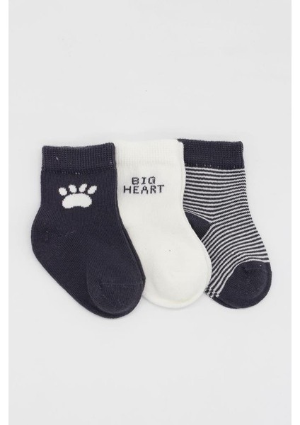 Nessiworld 3'lü Penye Soket Çorap BS10110 Antrasit fiyatları