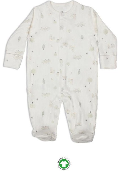 Nessiworld Always Dream Tulum 15111 Ekru Bej