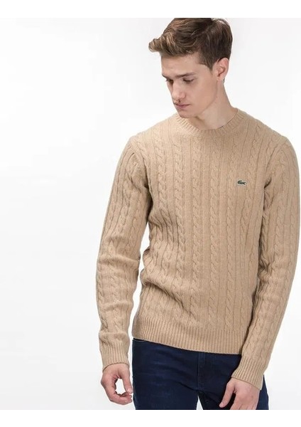 Erkek Örgü Desen Regular Fit Triko