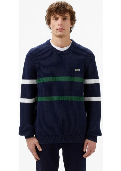 Erkek Çizgili Regular Fit Triko