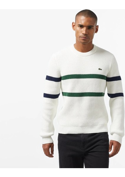 Erkek Çizgili Regular Fit Triko