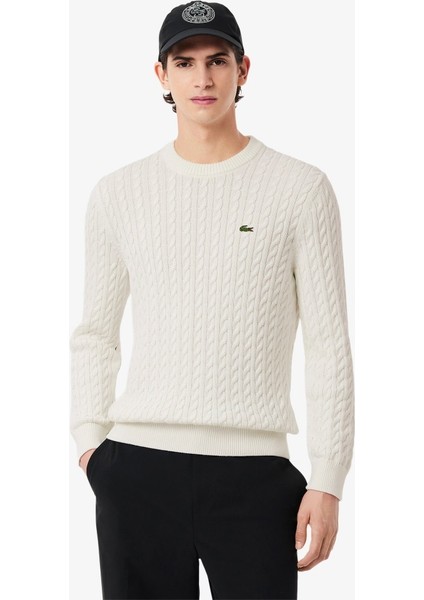 Erkek Örgü Desen Regular Fit Triko