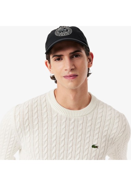 Erkek Örgü Desen Regular Fit Triko fiyatları