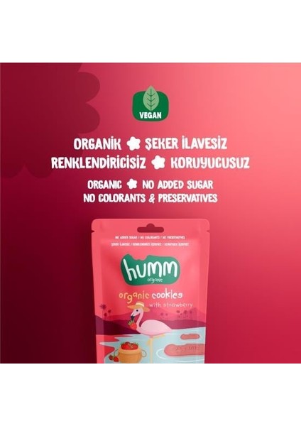 Organik Vegan Çilekli Kurabiye 55 gr fiyatları