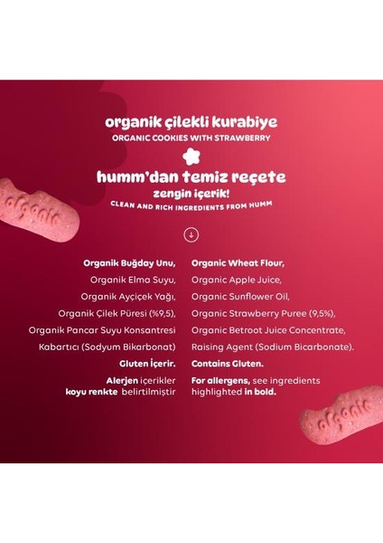 Organik Vegan Çilekli Kurabiye 55 gr fırsatları