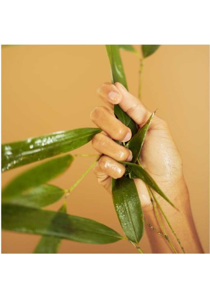 Bamboo Crème Frappée - Gündüz Kremi 50MLERDM modelleri