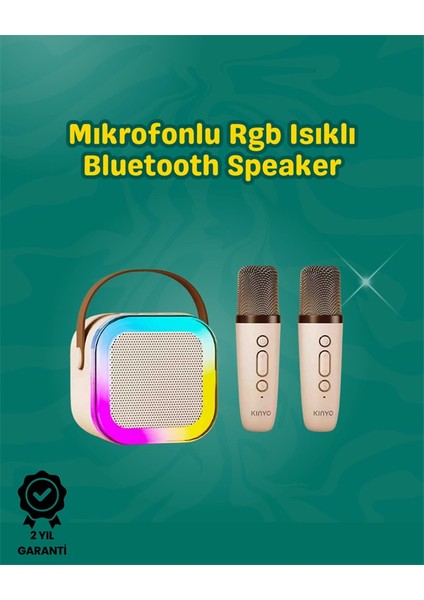 Iki Mikrofonlu Renkli LED Işıklı Karaoke Cihazı