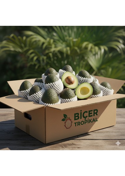 Avokado 1 kg modelleri