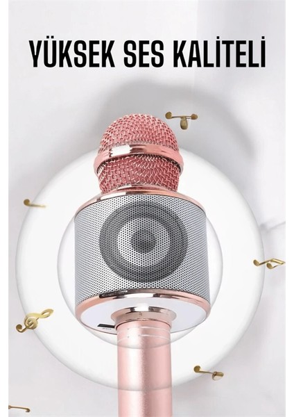 Taşınabilir Bluetooth Karaoke Mikrofon: Hafıza Kart Girişli, Etkileyici Performans fırsatları