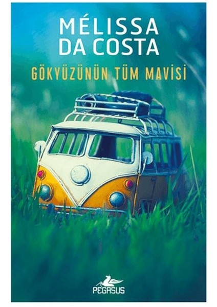 Gökyüzünün Tüm Mavisi