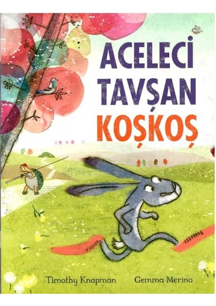 Aceleci Tavşan Koşkoş