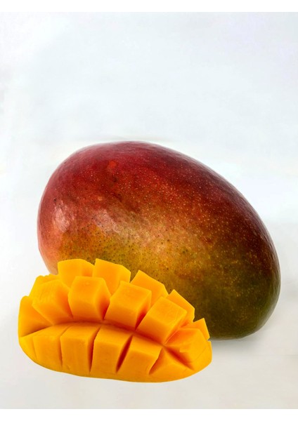 Mango 1 Adet fiyatları
