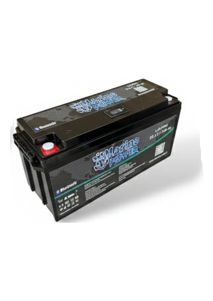 Lityum Lifepo4 Akü 24V 100AH | Bluetooth+Monitör | 6000 Döngü | Tekne, Karavan, Solar Enerji fiyatları