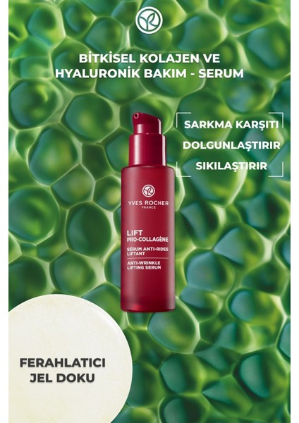 Yaşlanma Karşıtı Yenileyici Bitkisel Kök Hücre Dolgunlaştırıcı ve Canlandırıcı C Vitamini Serum 50ML fiyatları