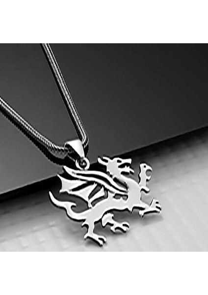 Gümüş Ejderha Erkek Kolye