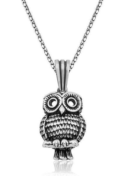 ​gümüş Baykuş Kolye