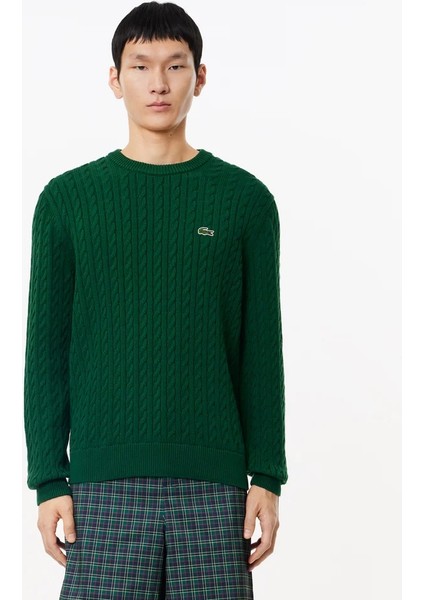 Erkek Örgü Desen Regular Fit Triko