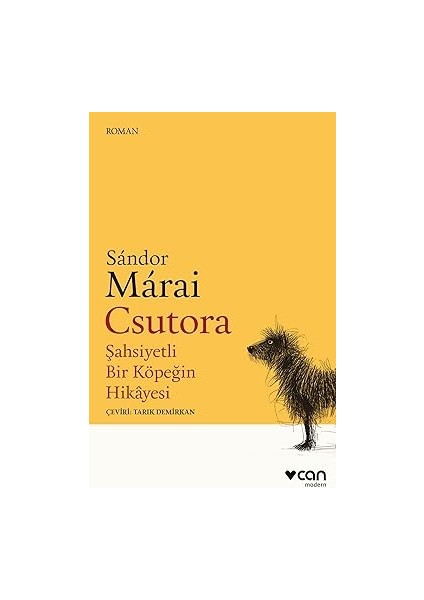 Görünmez Ip + Türkiye'nin Geleceği + Şu Yaramaz Tavşanlar + Iktidar: Güç Sahibi Olmanın 48 Yasası + 8 Kitap Set