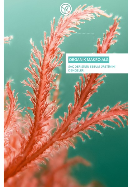 Yağlı Saçlar Için Nazikçe Arındıran, Sls ve Sles Içermeyen Doğal & Vegan Purete Şampuan – 300ML modelleri