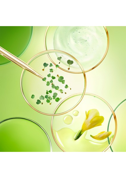 Yaşlanma Karşıtı Nuxuriance Ultra Global Anti-Aging Yenileyici ve Dolgunlaştırıcı Gece Kremi 50ML fiyatları