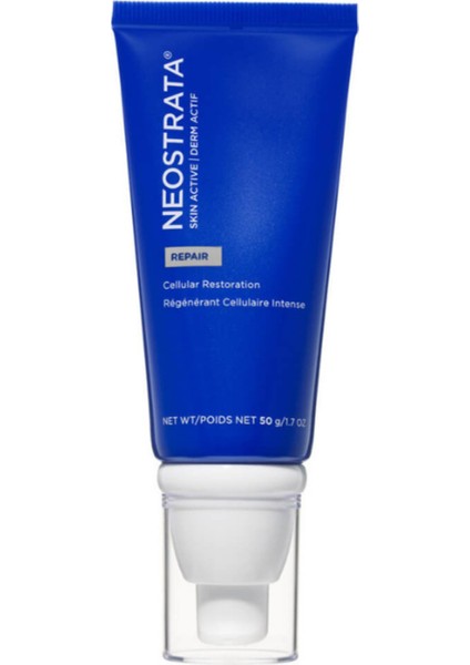 Skın Actıve Yenileyici ve Güçlü Yaşlanma Karşıtı Krem 50G ( Gece Kullanımı Için ) fiyatları