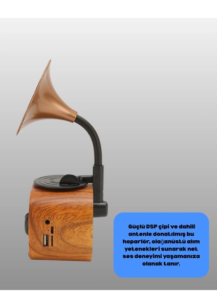 Retro Tasarımlı Mini Bluetooth Hoparlör ve Fm Radyo Çoklu Medya fırsatları