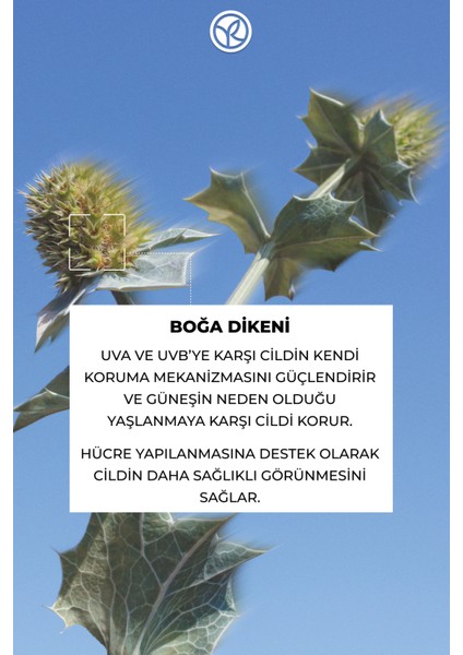 Yaşlanma Karşıtı Nemlendirici, Onarıcı ve Kırışık Görünümü Azaltıcı Güneş Sonrası Yüz Kremi 30ML fırsatları