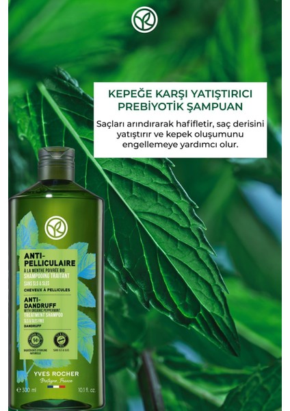 ve Pul Pul Dökülmeyi Azaltan Yoğun Bakım Sağlayan Kepek Karşıtı Şampuan 300ML fiyatları