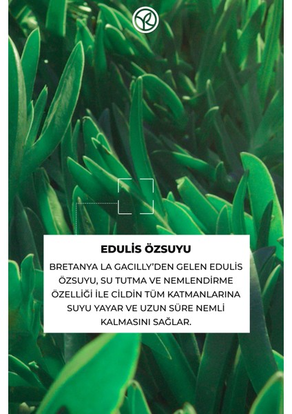 Normal ve Kuru Ciltleri 48 Saat Boyunca Nemlendirici ve Cilde Işıltılı Görünüm Veren Jel Krem 50ML