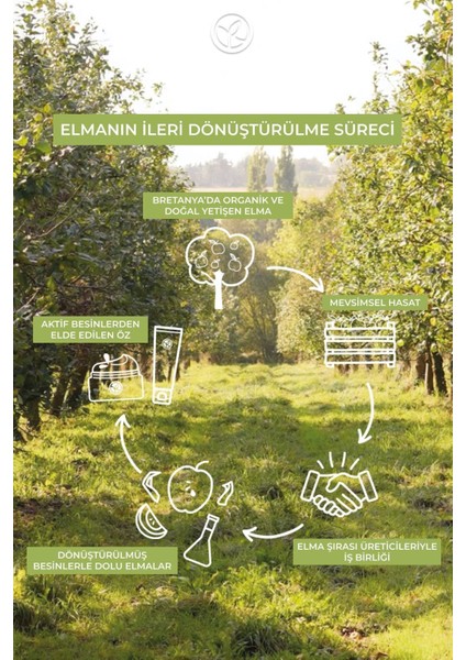 Kuru ve Yıpranmış Saçları Derinlemesine Nemlendirip Onaran Saç ve Vücut Şampuanı 390 ml indirimleri