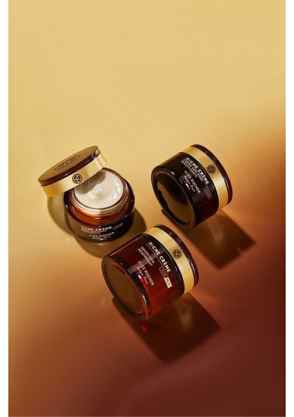 Yaşlanma Karşıtı Besleyici ve Yenileyici Özellikli Riche Creme Gündüz Kremi 50 ml modelleri
