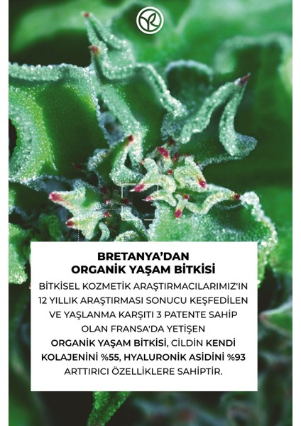 Yeni Kırışıklık Görünümünü Azaltıcı, Sıkılaştırıcı ve Dolgunlaştırıcı Bitkisel Kolajen Gündüz Kremi 50ML indirimleri