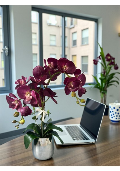 Yapay Orkide Premium Kalite Doğal Görünümlü Gümüş Metal Saksıda Yapay Çiçek 55 cm Dekoratif Hediye indirimleri