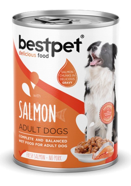 Sptrns Bestpet 400 gr x 12 Adet Yetişkin Köpekler Için, Taze Somon Parça Etli ve Soslu Yaş Mama