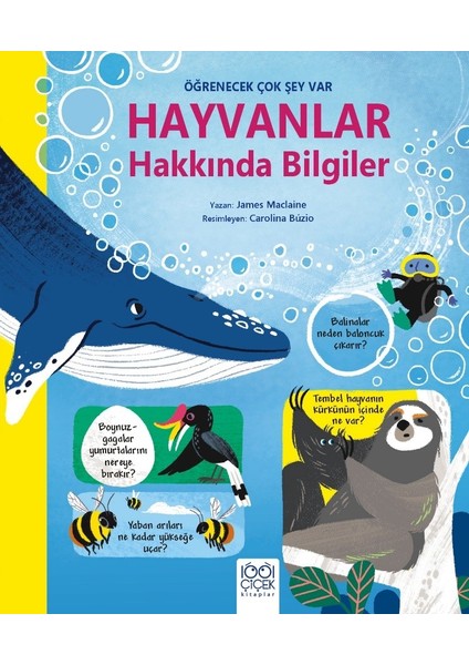 Hayvanlar Hakkında Bilgiler - Öğrenecek Çok Şey Var