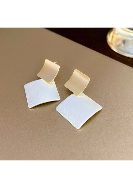 Gümüş Iğne Işık Lüks Moda Elmas Zirkonya Çiçekler Püskül Küpe Soğuk Küpe Net Kırmızı (Yurt Dışından)