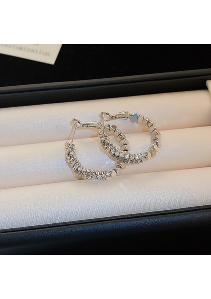 Gümüş Iğne Işık Lüks Moda Elmas Zirkonya Çiçekler Püskül Küpe Soğuk Küpe Net Kırmızı (Yurt Dışından)