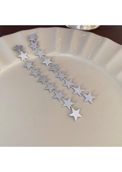 Gümüş Iğne Işık Lüks Moda Elmas Zirkonya Çiçekler Püskül Küpe Soğuk Küpe Net Kırmızı (Yurt Dışından)