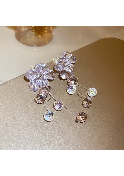 Gümüş Iğne Işık Lüks Moda Elmas Zirkonya Çiçekler Püskül Küpe Soğuk Küpe Net Kırmızı (Yurt Dışından)