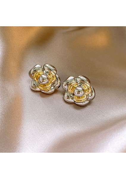 Gümüş Iğne Işık Lüks Moda Elmas Zirkonya Çiçekler Püskül Küpe Soğuk Küpe Net Kırmızı (Yurt Dışından)