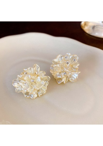 Gümüş Iğne Işık Lüks Moda Elmas Zirkonya Çiçekler Püskül Küpe Soğuk Küpe Net Kırmızı (Yurt Dışından)