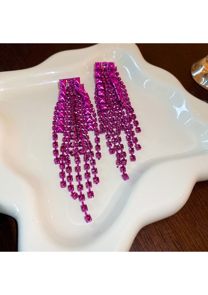 Gümüş Iğne Işık Lüks Moda Elmas Zirkonya Çiçekler Püskül Küpe Soğuk Küpe Net Kırmızı (Yurt Dışından)