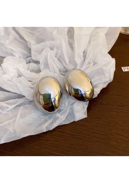 Gümüş Iğne Işık Lüks Moda Elmas Zirkonya Çiçekler Püskül Küpe Soğuk Küpe Net Kırmızı (Yurt Dışından)