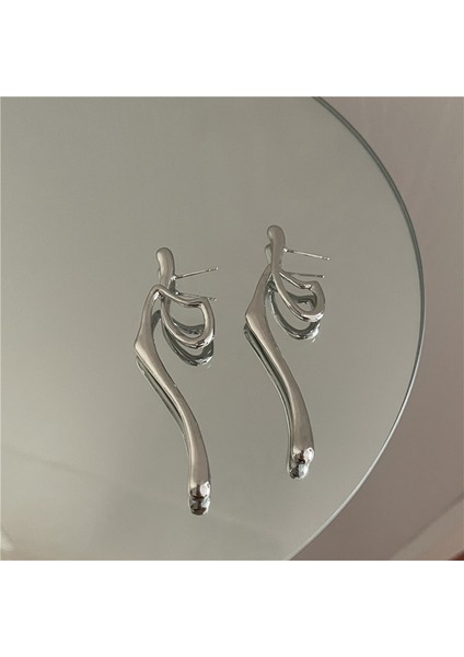 Gümüş Iğne Işık Lüks Moda Elmas Zirkonya Çiçekler Püskül Küpe Soğuk Küpe Net Kırmızı (Yurt Dışından)