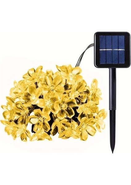 Solar 5m 50 LED Papatya Gün Işığı 8 Fonksiyonlu