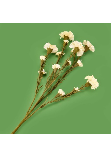 Deco Kranfil Dal Çiçek - Krem - 68 cm fiyatları