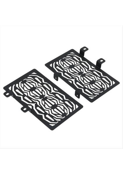 Motosiklet Aksesuarları Radyatör Koruma Grille Kapak Koruyucu Loncin Voge Için Soğutucu Koruması 300 Ralli 300 300 (Yurt Dışından) modelleri